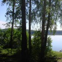 Отдых на челябинских озерах: цены, отзывы, базы и отдых 